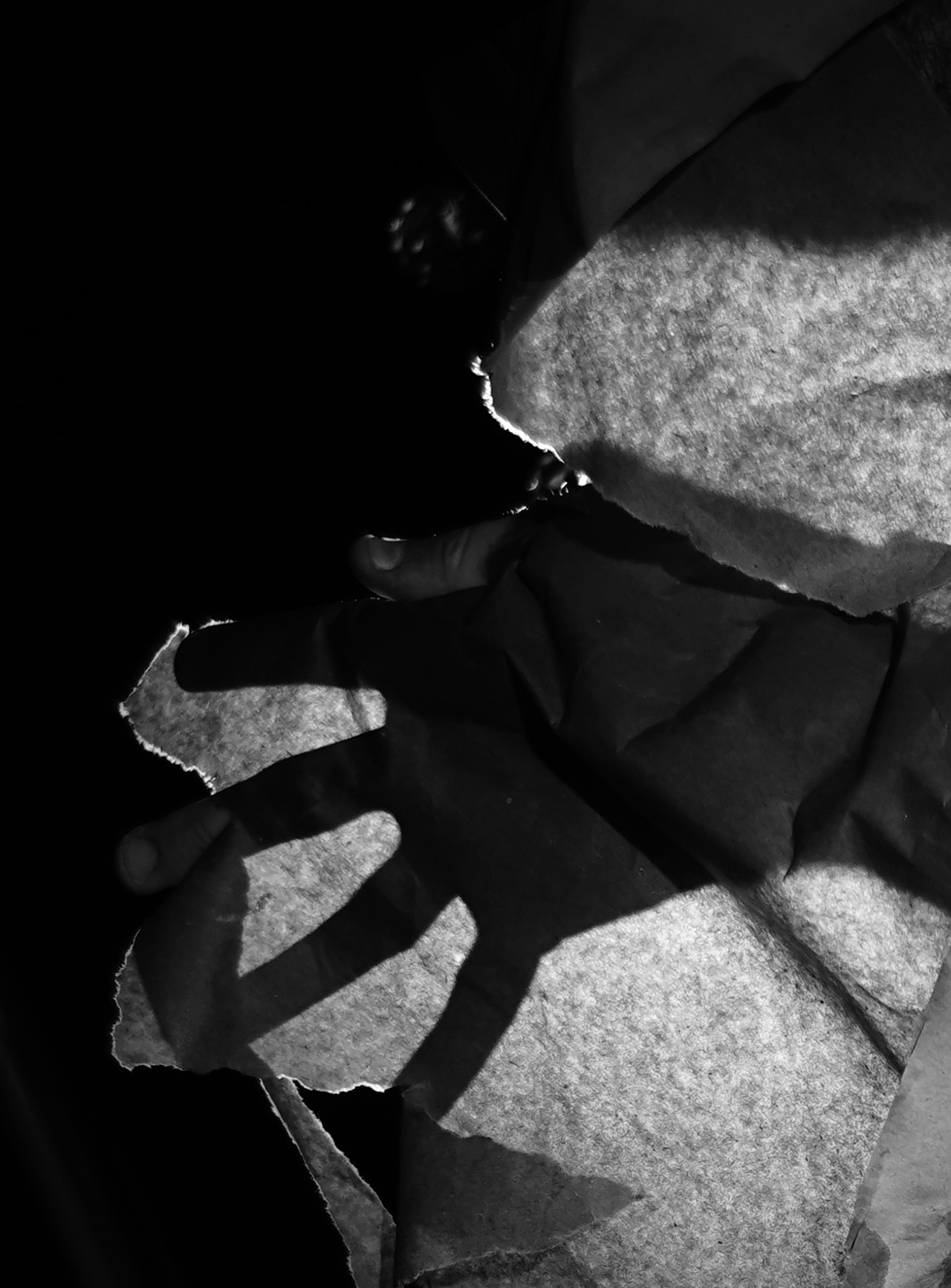 Shedding — Frame 02