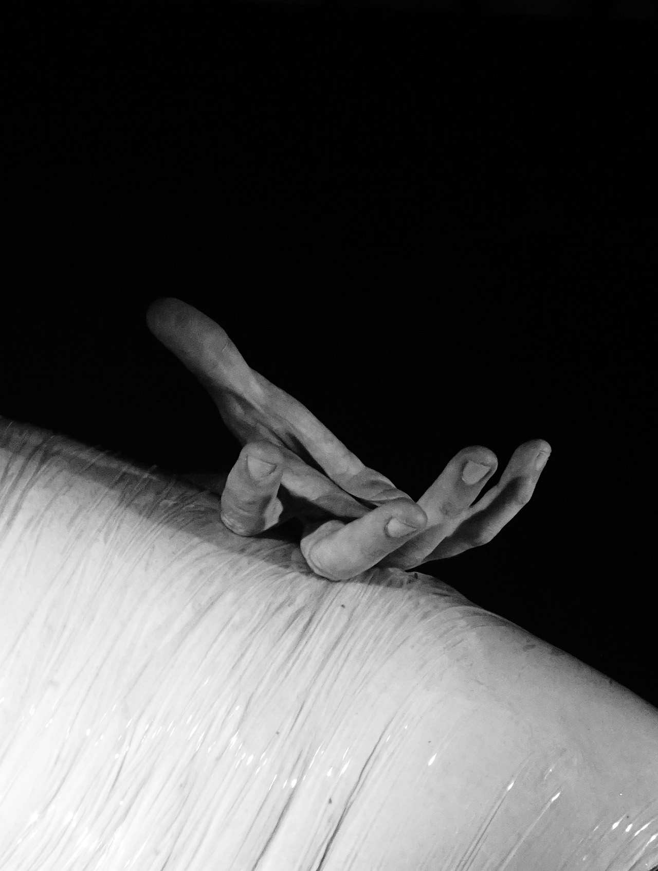 Shedding — Frame 03