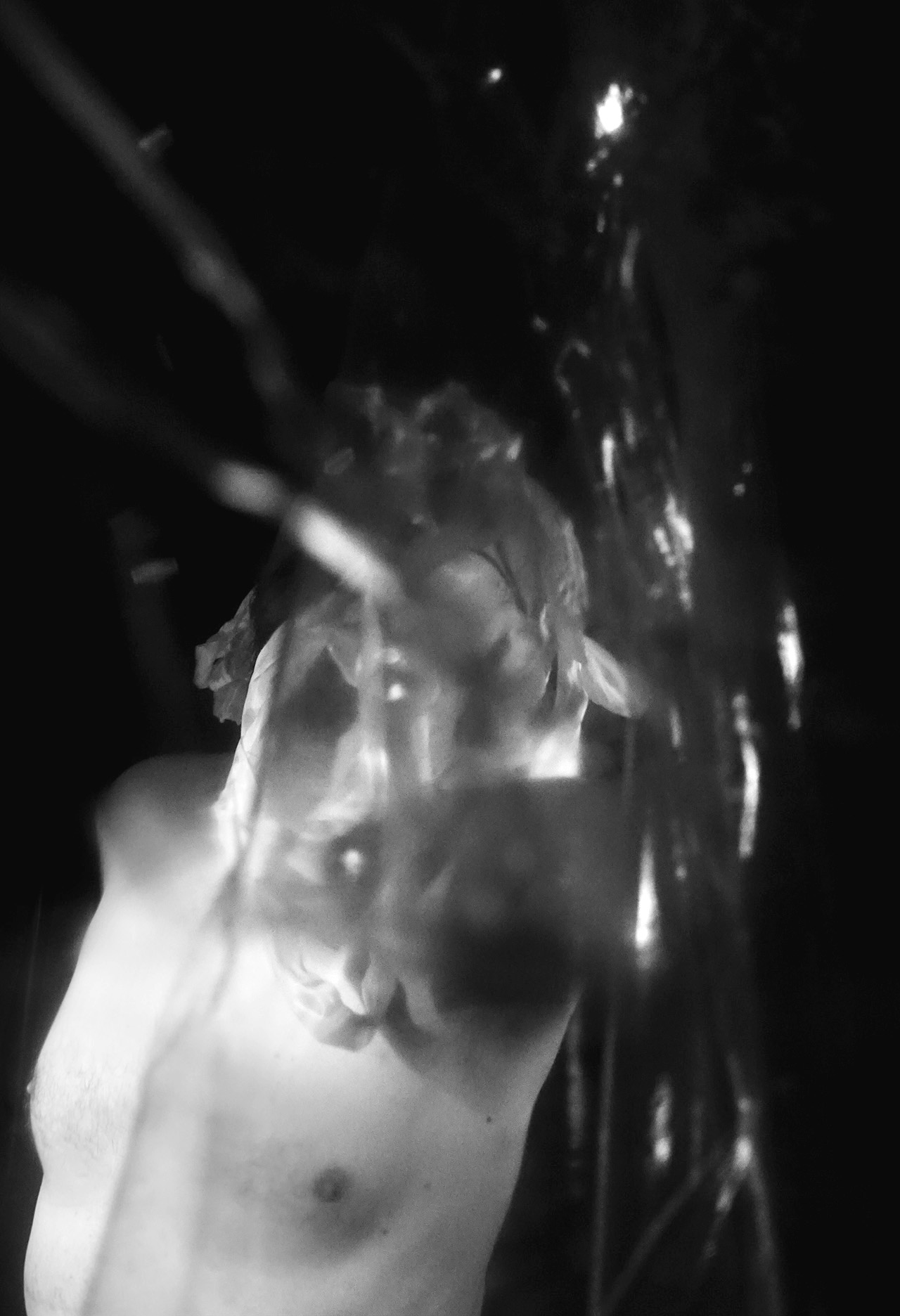 Shedding — Frame 06